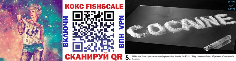 KRAKEN ТОР Карабулак COCAIN Fish Scale