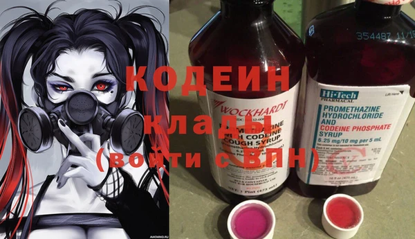 индика Армянск