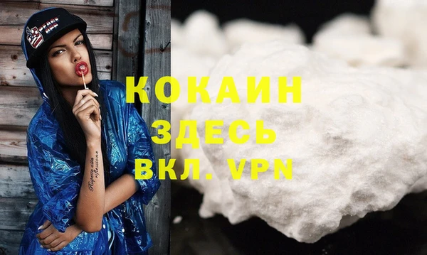 индика Армянск